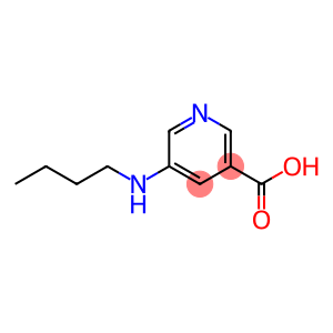 5-(butylamino)nicotinic acid