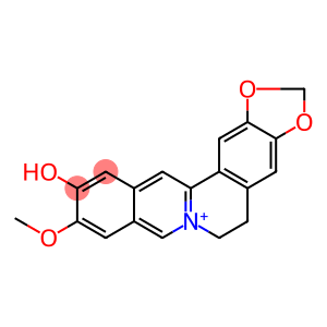 Benzo[g]-1,3-benzodioxolo[5,6-a]quinolizinium, 5,6-dihydro-11-hydroxy-10-methoxy-