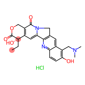 拓扑替康 盐酸盐 (1:n)