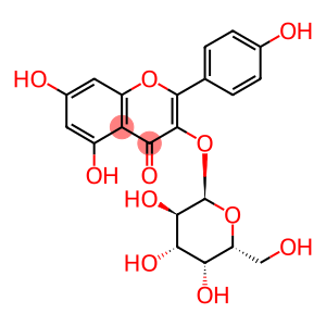 Kaempferol 3-O-D-galactoside >=90% (LC/MS-ELSD)