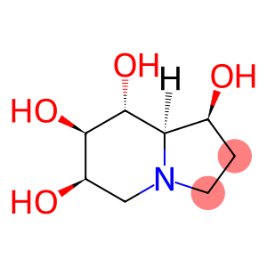 1,6,7,8-Indolizinetetrol, octahydro-, (1S,6R,7R,8R,8aR)-