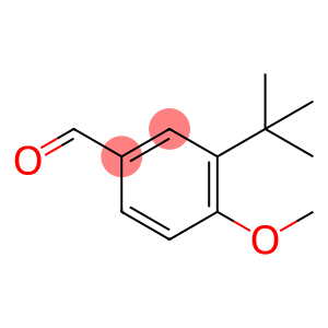 3-叔丁基-4-甲氧基苯甲醛
