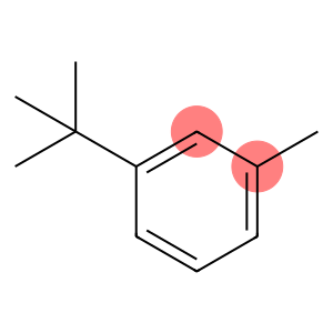 3-叔丁基甲苯