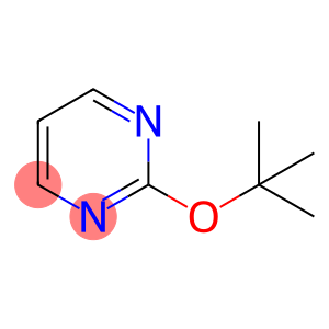 2-t-butoxypyrimidine