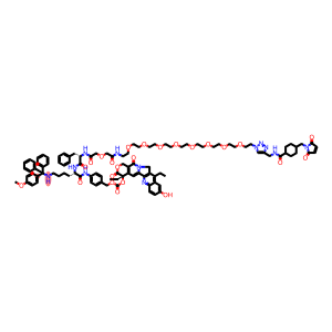 CL2-MMT-SN38