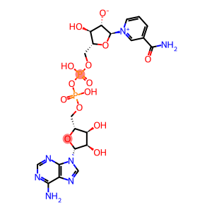 nicotinamide arabinoside adenine dinucleotide