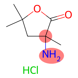 3-amino-3,5,5-trimethyloxolan-2-one hydrochloride