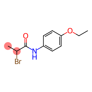 2-Bromo-N-(4-ethoxyphenyl)propanamide