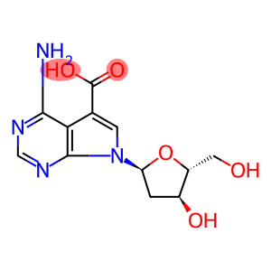 7-deaza-7-caboxy-dA