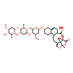 cynapanoside C