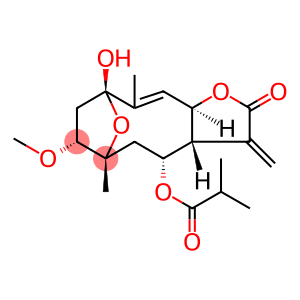 1Β-甲氧基五味子叶素