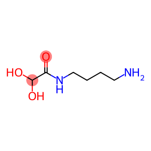 Acetamide, N-(4-aminobutyl)-2,2-dihydroxy-