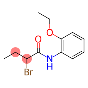 2-bromo-N-(2-ethoxyphenyl)butanamide