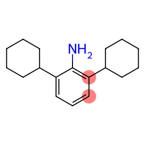 2,6-dicyclohexylaniline