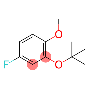 4-Fluoro-2-tert-butyloxyanisole