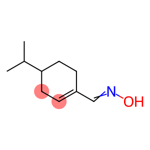 Phellandral, oxime (6CI)