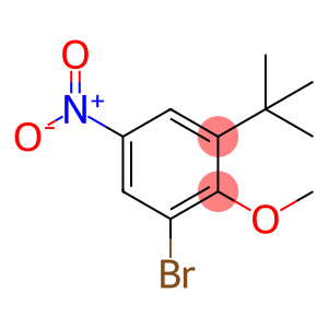 1-溴-3-(叔丁基)-2-甲氧基-5-硝基苯