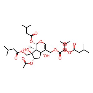 JataManvaltrate B