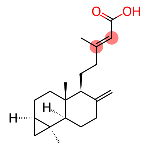 Metasequoic acid A