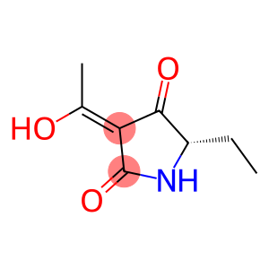 2,4-Pyrrolidinedione, 5-ethyl-3-(1-hydroxyethylidene)-, [S-(Z)]- (9CI)