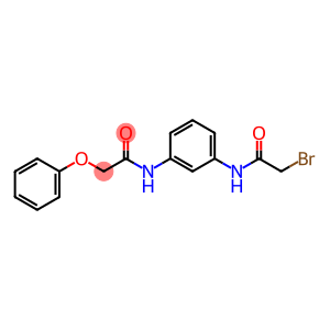 2-Bromo-N-{3-[(2-phenoxyacetyl)amino]-phenyl}acetamide