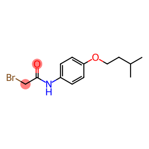 2-Bromo-N-[4-(isopentyloxy)phenyl]acetamide