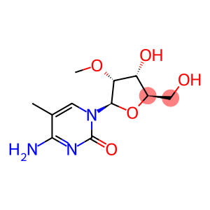 2'-(O-METHYL)-5-METHYLCYTIDINE