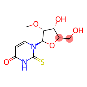 2'-O-methyl-2-thiouridine