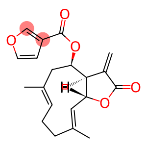 β-Furoyleupatolide