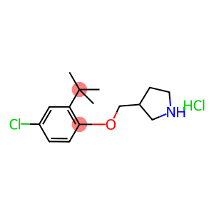 3-{[2-(tert-Butyl)-4-chlorophenoxy]-methyl}pyrrolidine hydrochloride