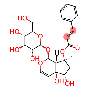 6-Epiharpagoside