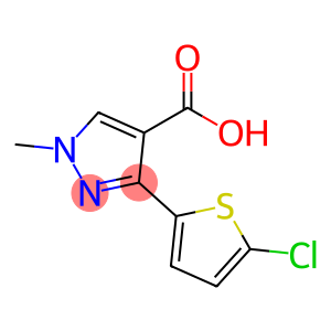 3-(5-氯噻吩-2-基)-1-甲基-1H-吡唑-4-羧酸