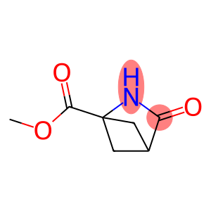 2-Azabicyclo[2.1.1]hexane-1-carboxylicacid,3-oxo-,methylester(9CI)