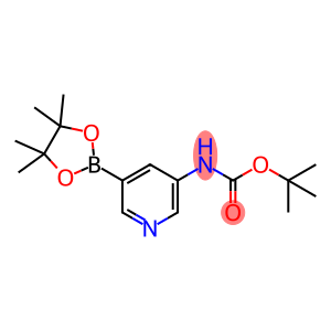 tert-butyl 5-(4,4,5,5-tetramethyl-1,3,2-dioxaborolan-2-yl)pyridin-3-ylcarbamate