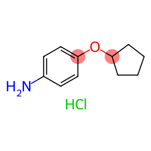 [4-(cyclopentyloxy)phenyl]amine