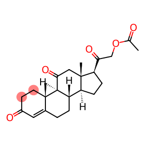 11-Dehydrocorticosterone acetate