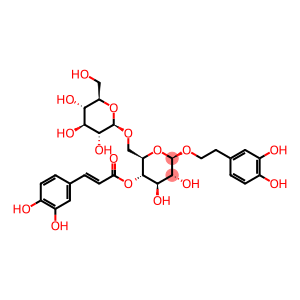 b-D-Glucopyranoside,2-(3,4-dihydroxyphenyl)ethyl 6-O-b-D-glucopyranosyl-, 4-[(2E)-3-(3,4-dihydroxyphenyl)-2-propenoate]