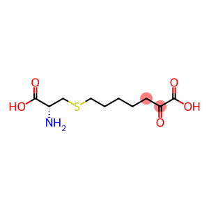 Cilastatin Sodium Impurity E(EP)