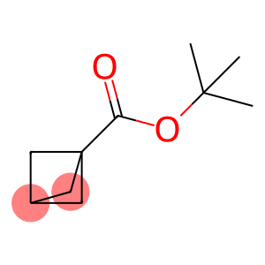 tert-butyl bicyclo[1.1.1]pentane-1-carboxylate