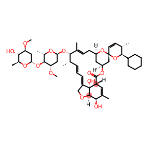 Dectoma