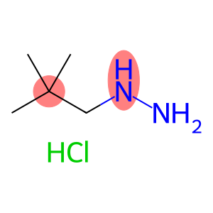 (2,2-dimethylpropyl)hydrazine dihydrochloride