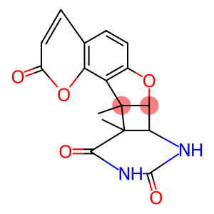 4'-methylangelicin-thymine-4',5'-photocycloadduct