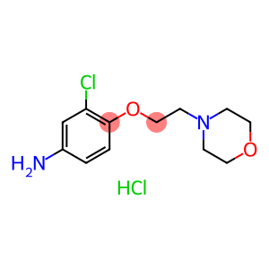 3-CHLORO-4-[2-(4-MORPHOLINYL)ETHOXY]PHENYLAMINEDIHYDROCHLORIDE