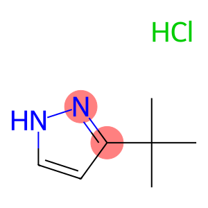 3-t-Butyl-1H-pyrazole, HCl