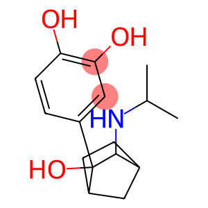 N-isopropyl-3-amino-2-(3,4-dihydroxyphenyl)-2-hydroxybicyclo(2.2.1)heptane