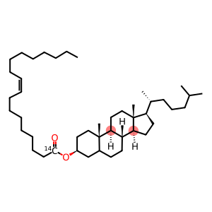 胆固醇油酸酯(油酸-1-14C)