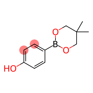 4-(5,5-二甲基-1,3,2-二氧硼杂环己烷-2-基)苯酚