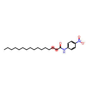 HexadecanaMide, N-(4-nitrophenyl)-