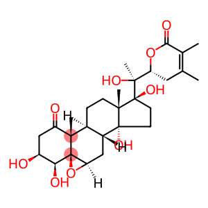 Phyperunolide E