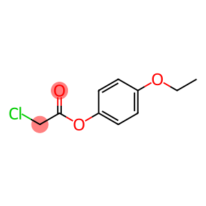 4-ETHOXYPHENYL CHLOROACETATE